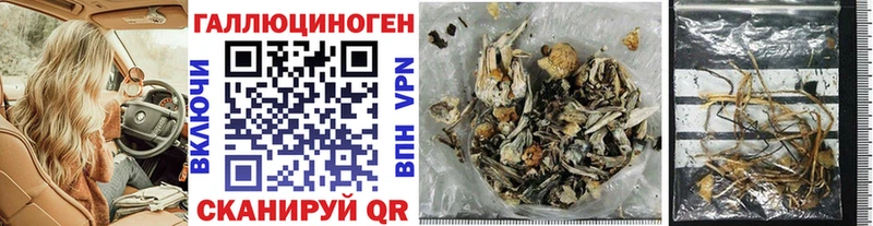 Псилоцибиновые грибы GOLDEN TEACHER  купить закладку  Баксан 