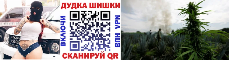 сайты даркнета клад Баксан Каннабис гибрид