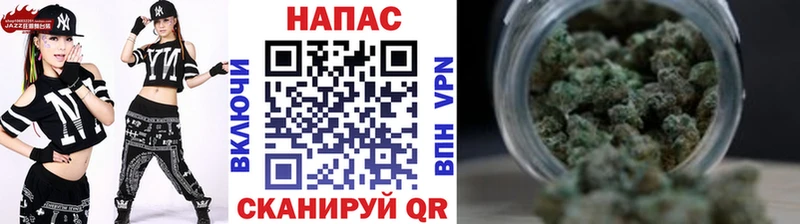 Конопля OG Kush Баксан